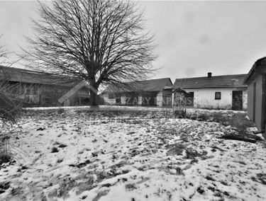 Zdjęcie 14620234