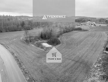 Zdjęcie 14620285