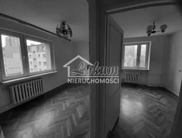 Zdjęcie 14620537