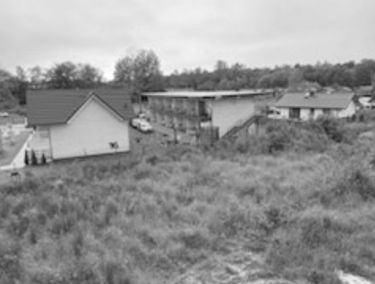 Zdjęcie 14620618