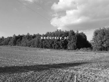 Zdjęcie 14621163