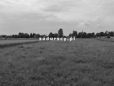 Zdjęcie 14621177