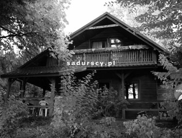 Zdjęcie 14621201