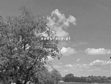 Zdjęcie 14621219