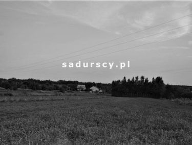 Zdjęcie 14621241