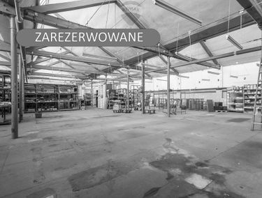 Zdjęcie 14621546