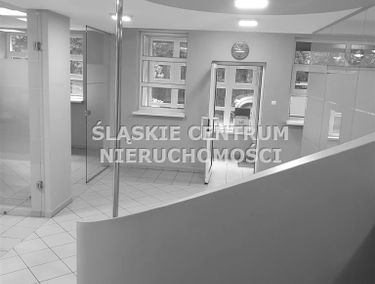 Zdjęcie 14622373