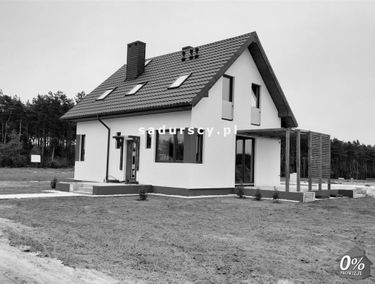 Zdjęcie 14622416