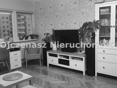 Zdjęcie 14625190