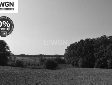 Zdjęcie 14625291