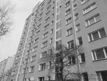 Zdjęcie 14625396