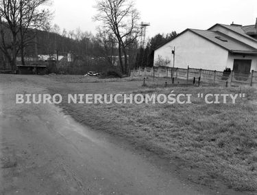 Zdjęcie 14625691