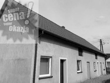 Zdjęcie 14625779