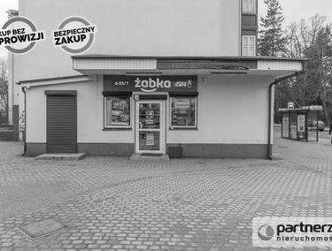 Zdjęcie 14625805