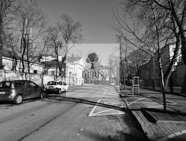 Zdjęcie 14625871