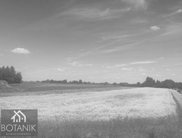 Zdjęcie 14626276