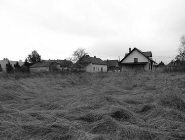 Zdjęcie 14626515