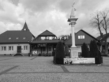 Zdjęcie 14626628