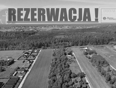 Zdjęcie 14627100
