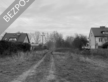 Zdjęcie 14627179