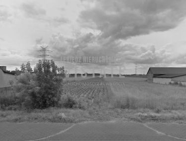 Zdjęcie 14628193
