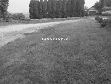 Zdjęcie 14628769