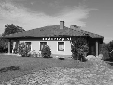 Zdjęcie 14628786