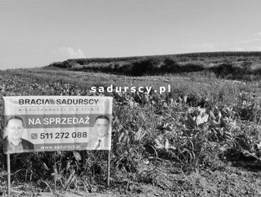 Zdjęcie 14628831