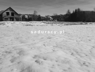 Zdjęcie 14628895