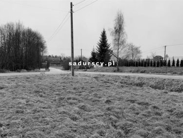 Zdjęcie 14628938