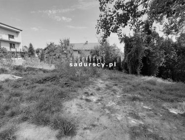 Zdjęcie 14628944
