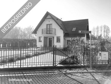 Zdjęcie 14629167