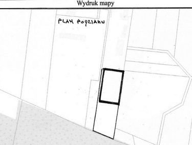 Zdjęcie 14629199