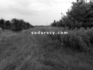 Zdjęcie 14629706