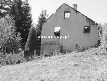 Zdjęcie 14629743