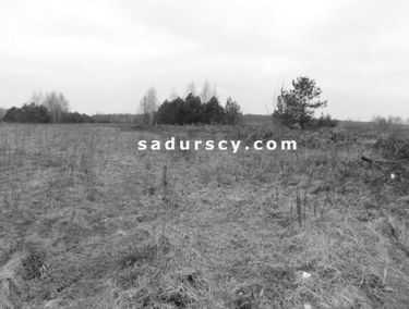 Zdjęcie 14629761