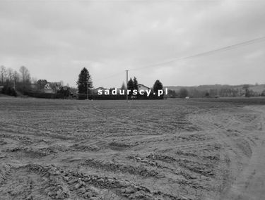 Zdjęcie 14629878