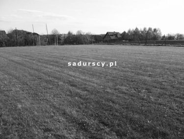 Zdjęcie 14629919