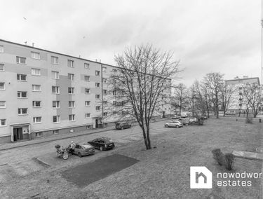 Zdjęcie 14632473