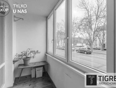 Zdjęcie 14633520