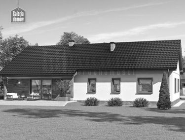Zdjęcie 14633615