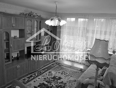Zdjęcie 14633841