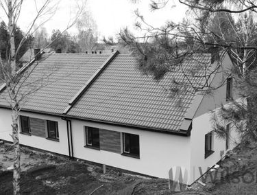 Zdjęcie 14633946