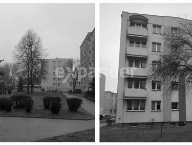 Zdjęcie 14634486