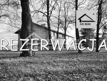 Zdjęcie 14634623