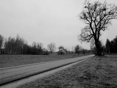 Zdjęcie 14634969