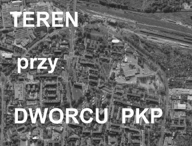 Zdjęcie 14635412