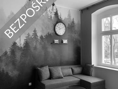 Zdjęcie 14635609
