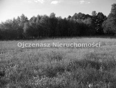 Zdjęcie 14635987