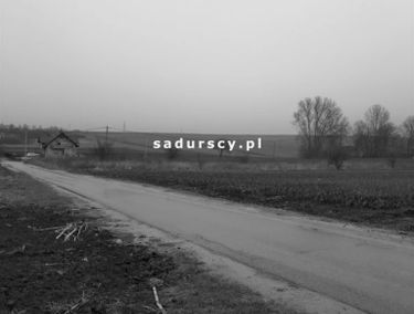 Zdjęcie 14636512